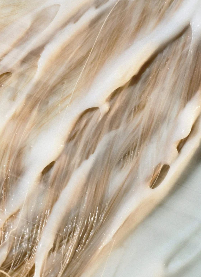 Feuchtigkeitsspendender Conditioner 300 ml