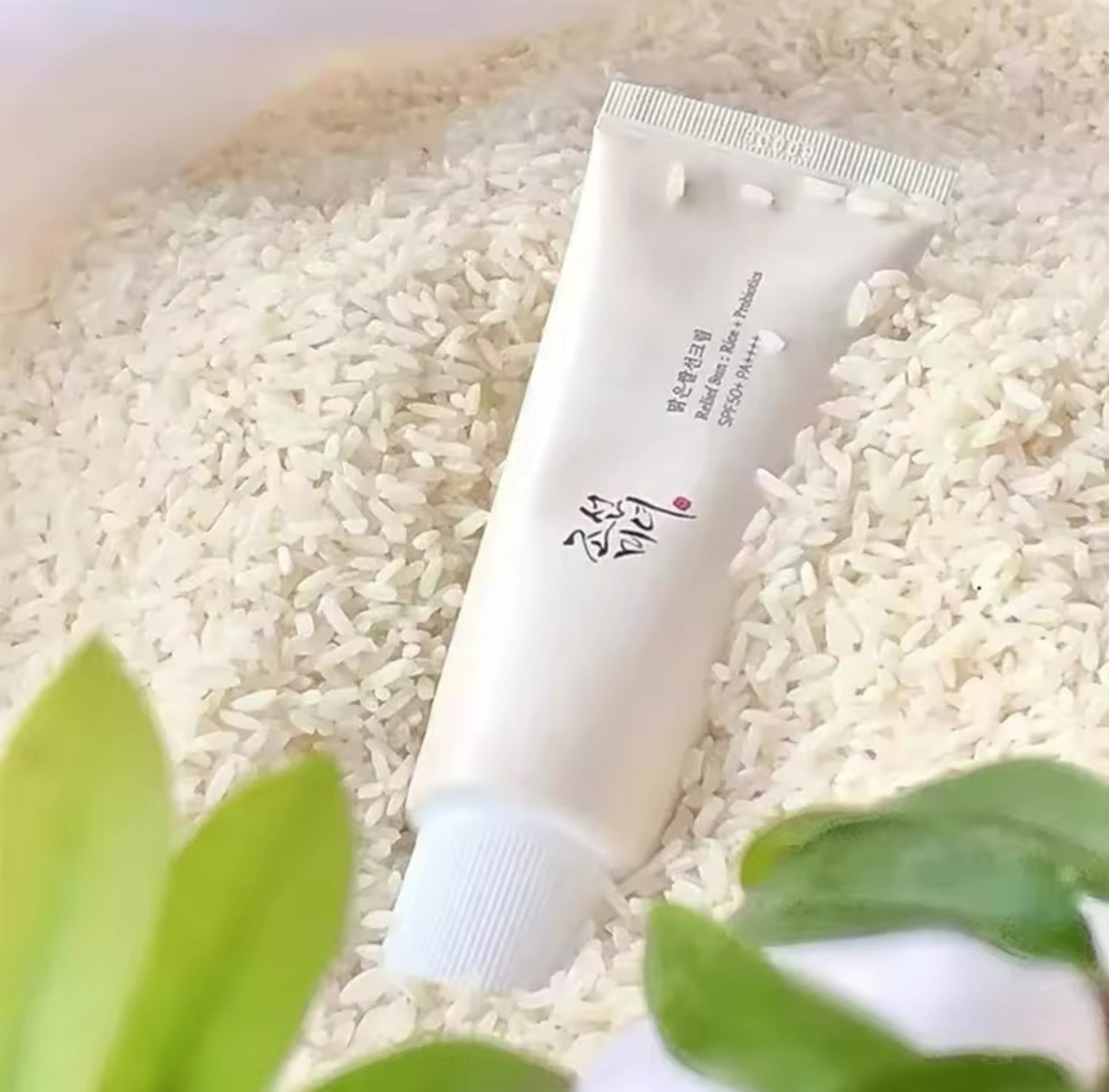 Koreanische Reis Probiotika Sonnenschutz Linderung Sonne SPF 50 hohen Sonnenschutz feuchtigkeit spendende feuchtigkeit spendende Haut Sonnen lotion
Öl
